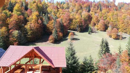 Hostal Pensiunea Izbucul Tauz