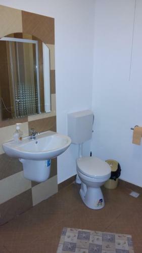 Hostal Pensiunea Casa Butnarului