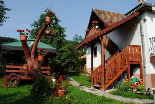 Hostal Pensiunea Casa Butnarului