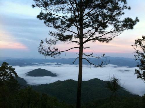 Hotel Phu Mork Dao Resort