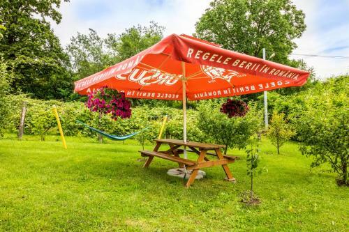 Hostal Pensiunea Valea M?gurii