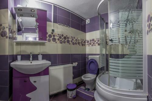 Hostal Pensiunea Mihaela
