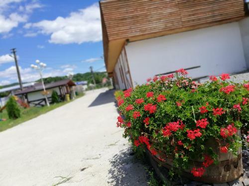 Hostal Popasul Boieresc