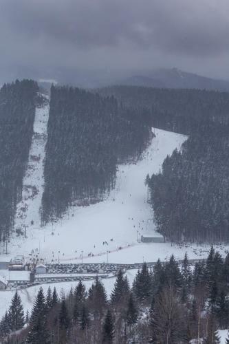 Casa de Vacanta Armi