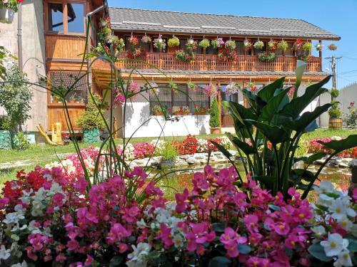 Agroturismo Casa Nica