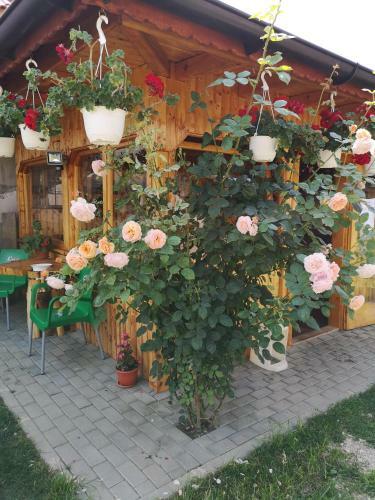 Agroturismo Casa Nica