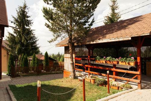Pensiunea Anda Lux