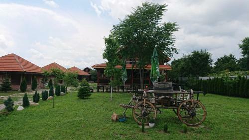 Lodge Satul Traditional