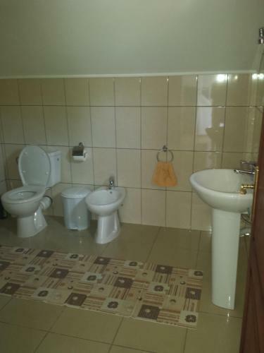 Hostal Pensiunea Anca