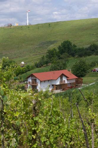 Hostal Pensiunea Casa Din VII