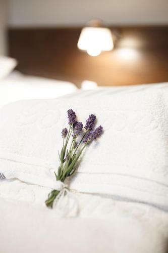 Hostal Pensiunea Boema
