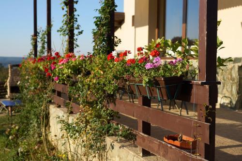 Hostal Pensiunea Iulia