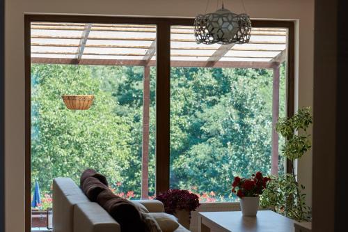 Hostal Pensiunea Iulia