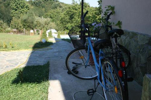 Hostal Pensiunea Iulia
