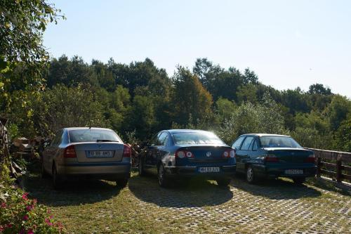 Hostal Pensiunea Iulia