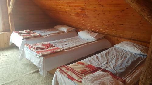 Agroturismo Pension Zamolxe
