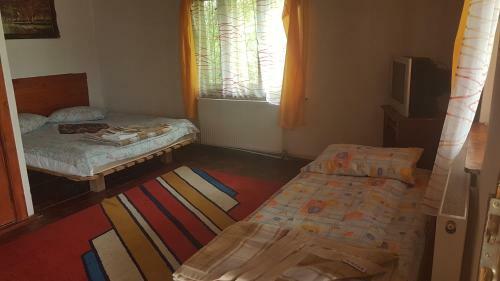 Agroturismo Pension Zamolxe