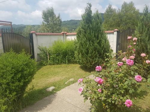 Hostal Pensiunea Mihaela