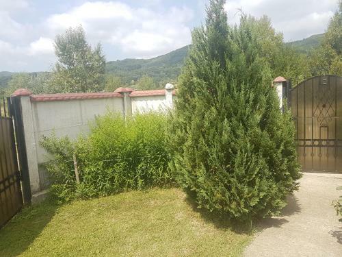 Hostal Pensiunea Mihaela
