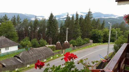 Hostal Pensiunea Ioana