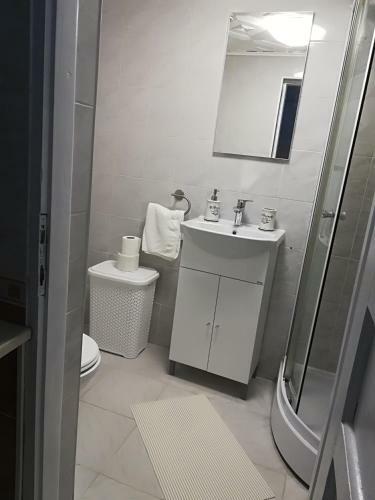 Apartament In Centrul Istoric