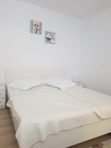 Apartament In Centrul Istoric