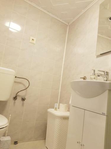 Apartament In Centrul Istoric