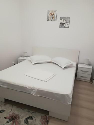Apartament In Centrul Istoric