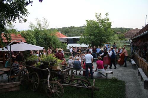 Csipkeszeg Bed & Breakfast Sic / Sz�k Romania