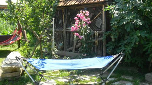 Casa Cezara