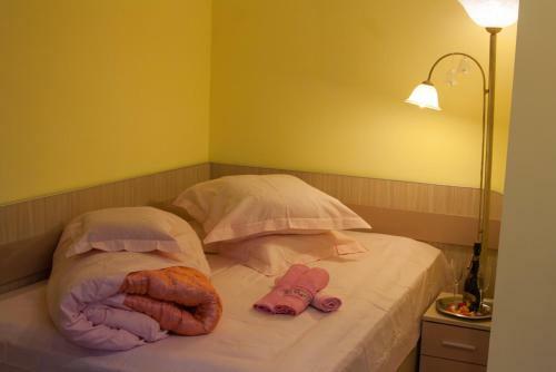 Hostal Vila Cu Flori