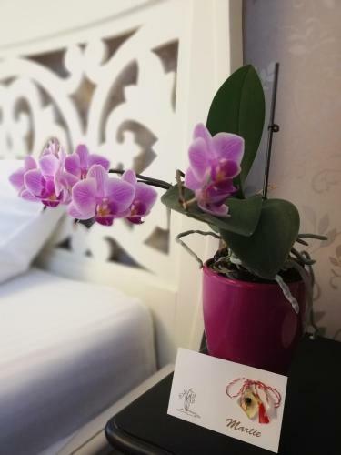Hostal Casa Gloria Sibiu