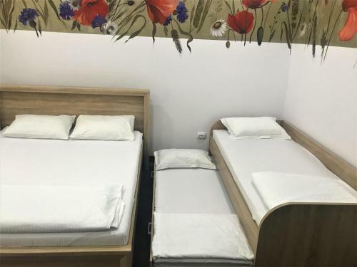 Apartamentos Flowers House Sibiu