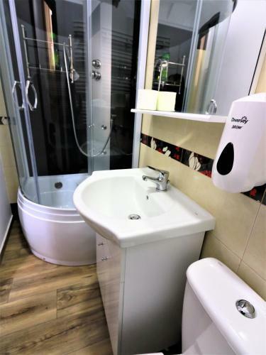 Apartamentos Flowers House Sibiu