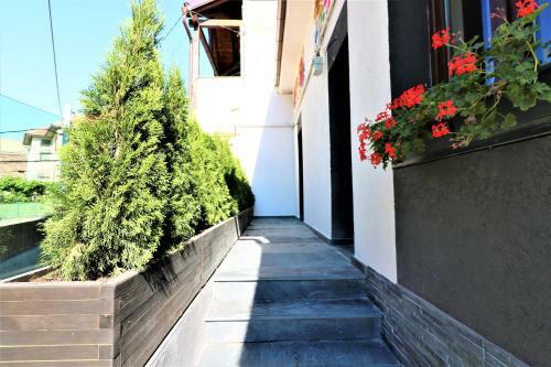 Apartamentos Flowers House Sibiu