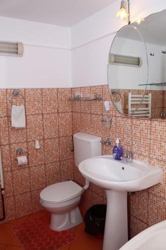 Hostal Complex Agroturistic Flori