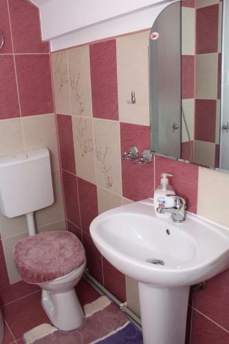 Hostal Complex Agroturistic Flori