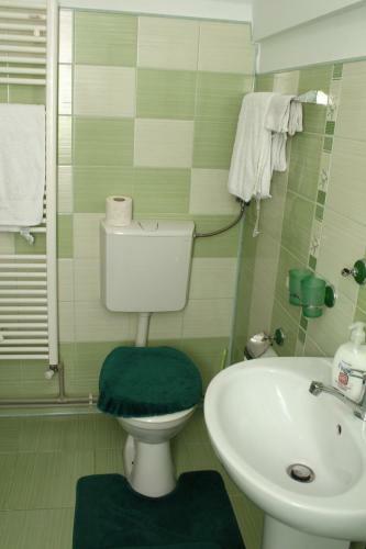Hostal Complex Agroturistic Flori