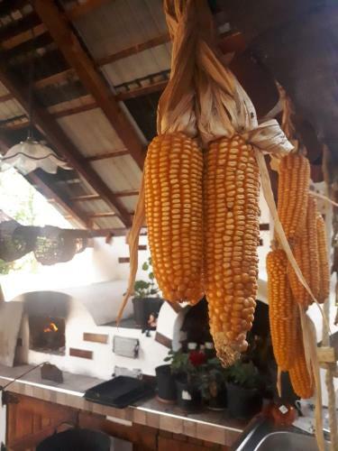 Hostal Pensiunea Casa Godja