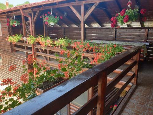 Lodge Casa Baciu