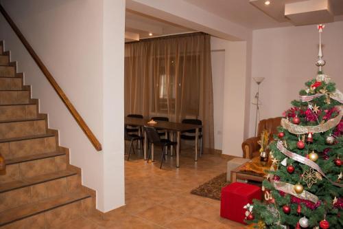 Lodge Cabana Andreea Telescaun