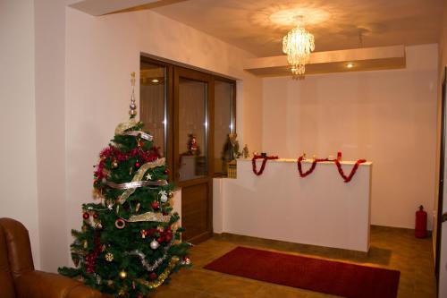 Lodge Cabana Andreea Telescaun