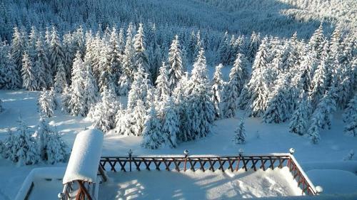 Hostal Pension Valea Mariei