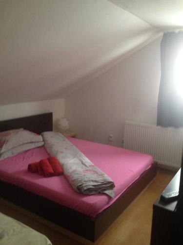 Hostal Pensiunea Rubin