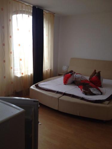 Hostal Pensiunea Rubin