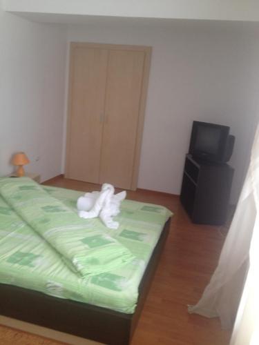 Hostal Pensiunea Rubin
