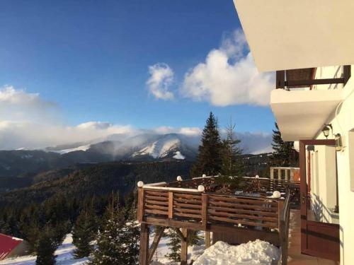 Hostal Pensiunea Rustic Ana