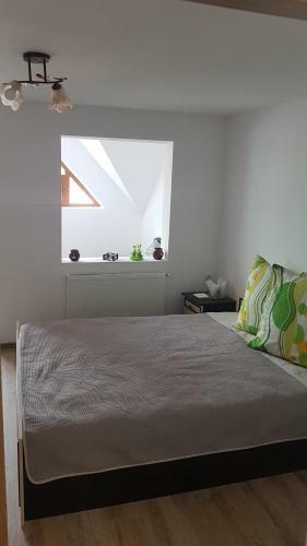 Hostal Pensiunea Apuseni