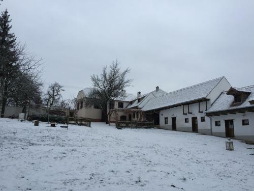 Hostal Veseud11