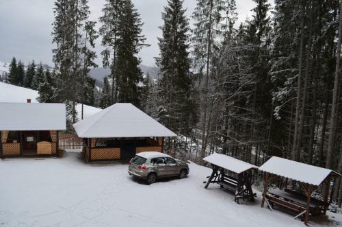 Hostal Pensiunea Vatra Bucovinei